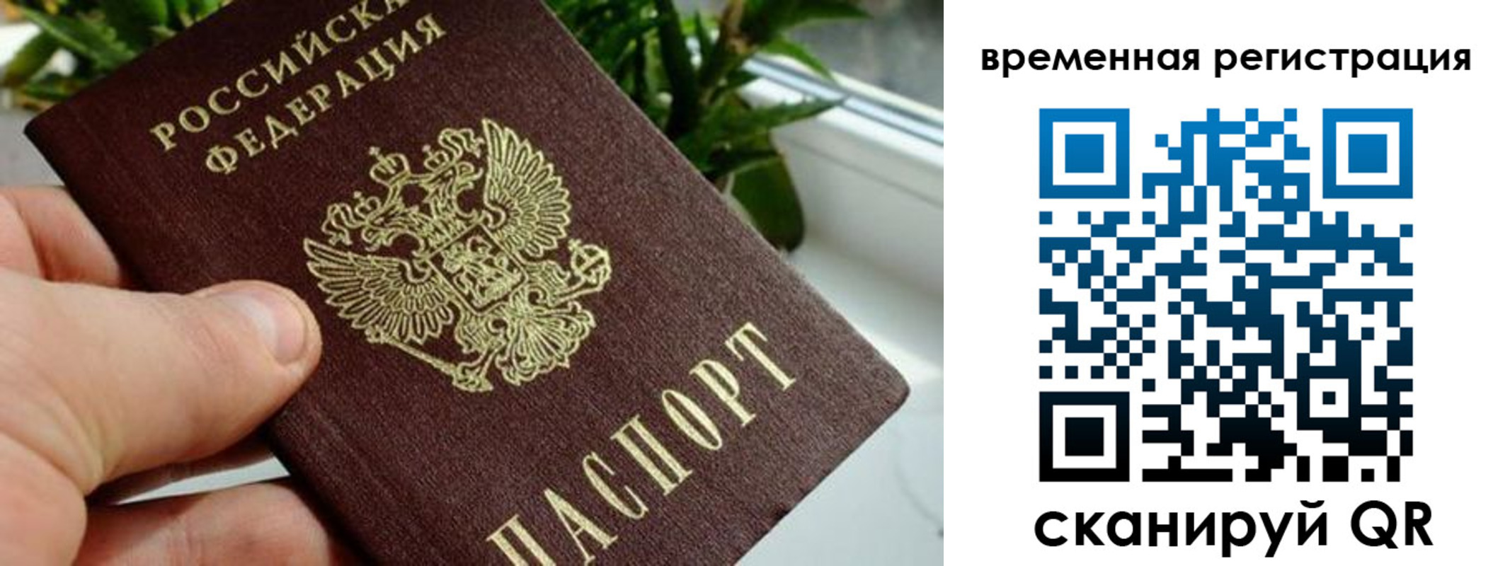 прописка поиск в Сортавале